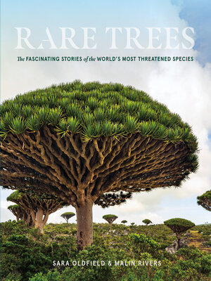 cover image of Rare Trees